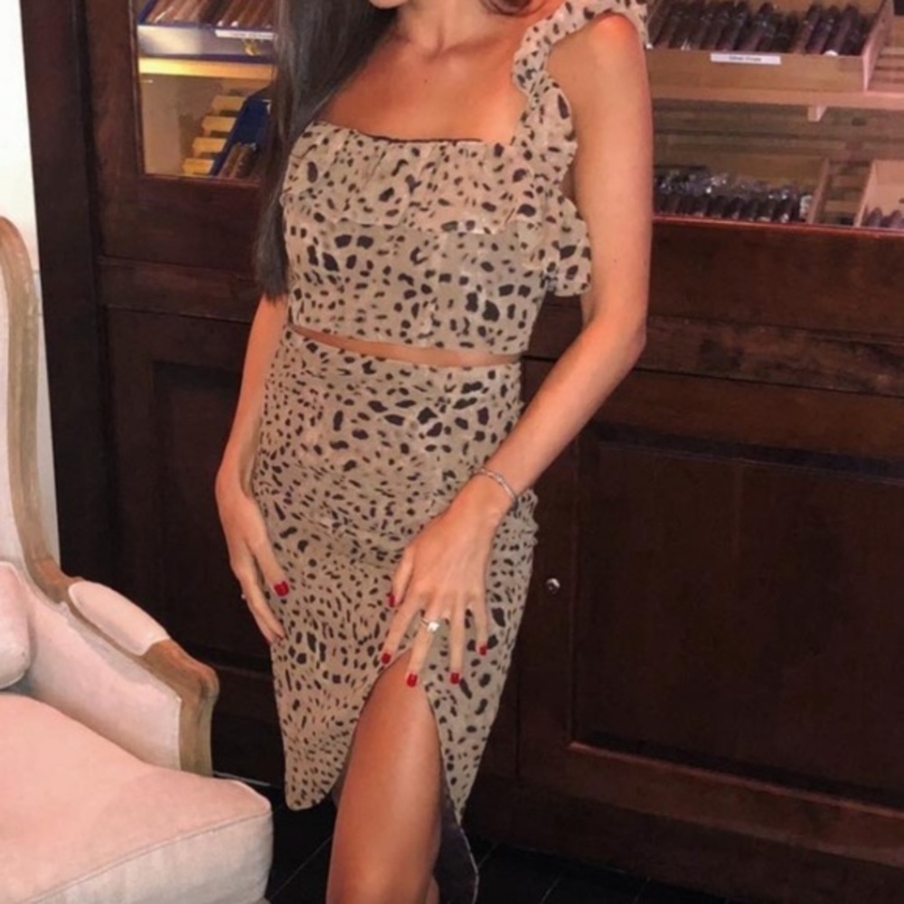 LPA Leopard Print Skirt Set